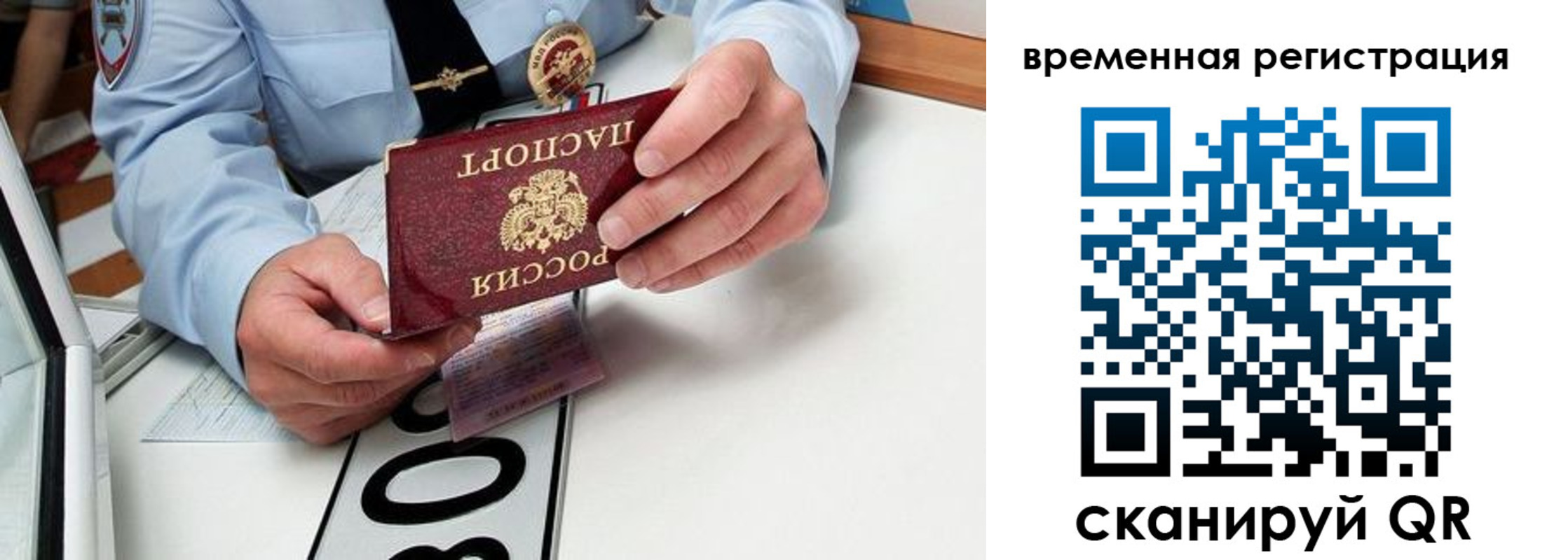 прописка гарантия в Калтане